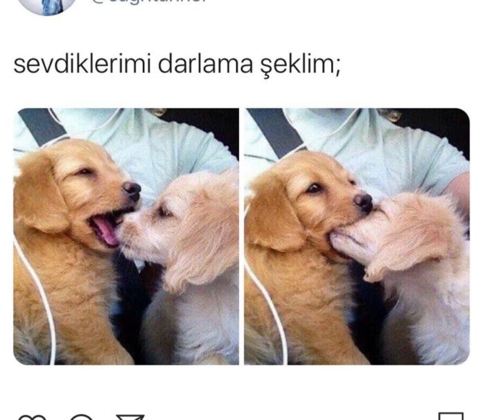 Sevginizi belli eder misiniz?