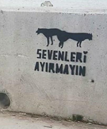 Sevenleri ayırmak günah mıdır?