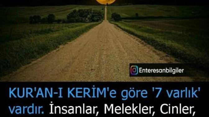 Dünyadaki 7 varlık nedir sizce?