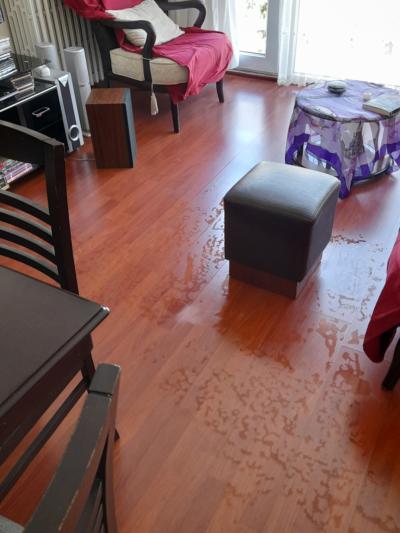 Parke Uzerindeki Bu Leke Nasil Gecer Kizlarsoruyor