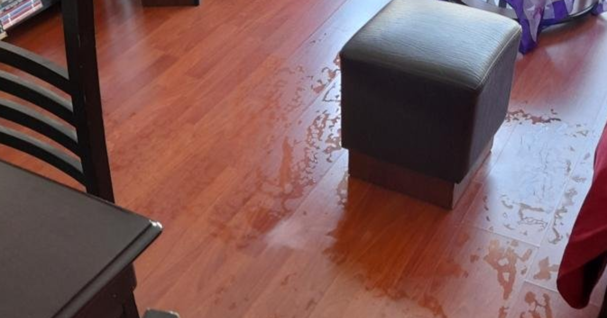 Parke Uzerindeki Bu Leke Nasil Gecer Kizlarsoruyor