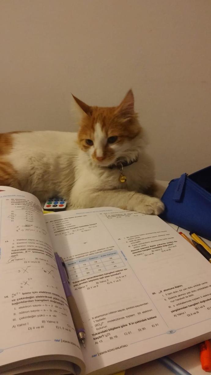 Önerilerinize ve çalışma stilindeki tüyolarınıza ihtiyacım var 2 yıldır idealimin yanından bile geçemiyorum.