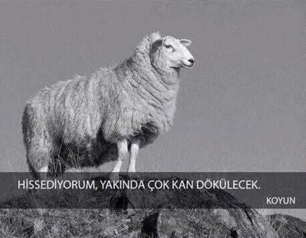 Hangi karşı cins sizin ilginizi çeker?