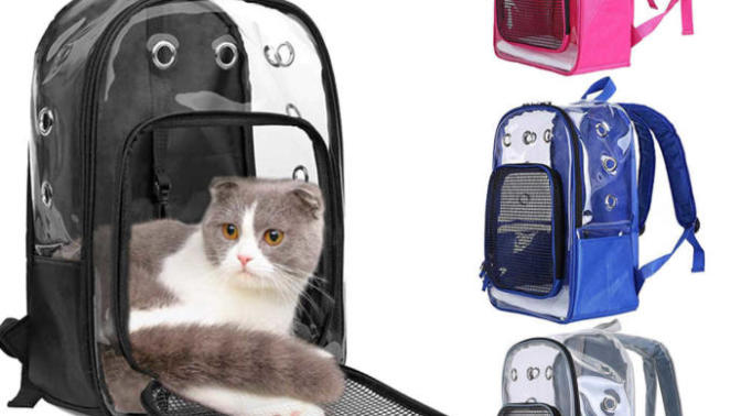 Kedi taşıma çantası olarak ne seçmeliyim?