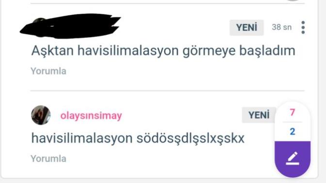 Havisilimalasyon ne demek KS gagasi?
