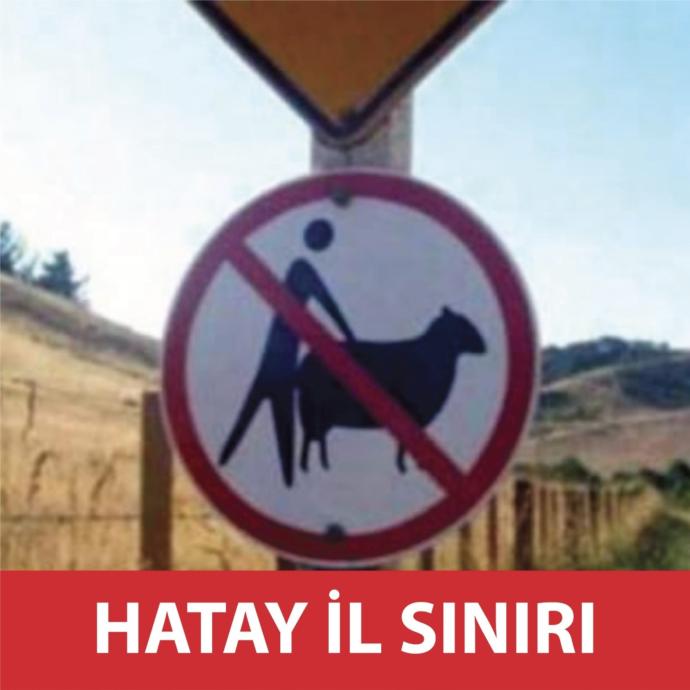 Rus kadınların kocalarını en çok aldattığı 16 tatil mekanında Türkiye acik farkla 1. sırada. sizce bunu tetikleyen faktör nedir?