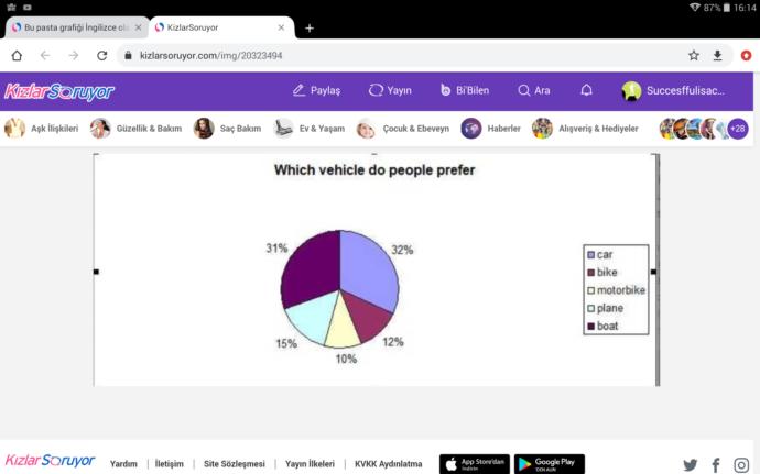 İngilizce olarak pasta grafik yorumlayabilir misiniz Bilen var mı