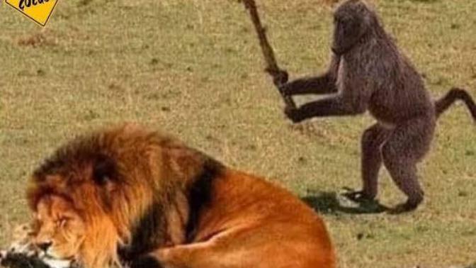 Sessiz sakin bir hayat mı, eğlenceli hareketli bir hayat mı yaşıyorsun?