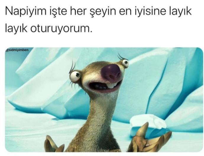 Ah Sid elmalı turtam🤪