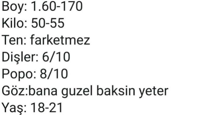 Sevgili bulma ilanı verecek olsaydınız, yazacağınız kriterler neler olurdu?