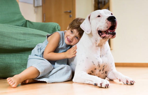 Köpekler çocuklara neden koruma iç güdüsüyle yaklaşır?