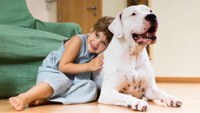 Köpekler çocuklara neden koruma iç güdüsüyle yaklaşır?