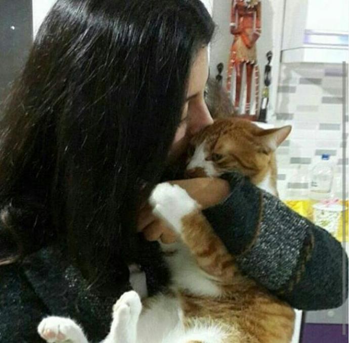 Bugün 8 Ağustos #DünyaKedilerGünü Bugüne kadar hiç kedi sahiplendin mi?