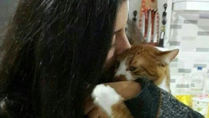 Bugün 8 Ağustos #DünyaKedilerGünü Bugüne kadar hiç kedi sahiplendin mi?