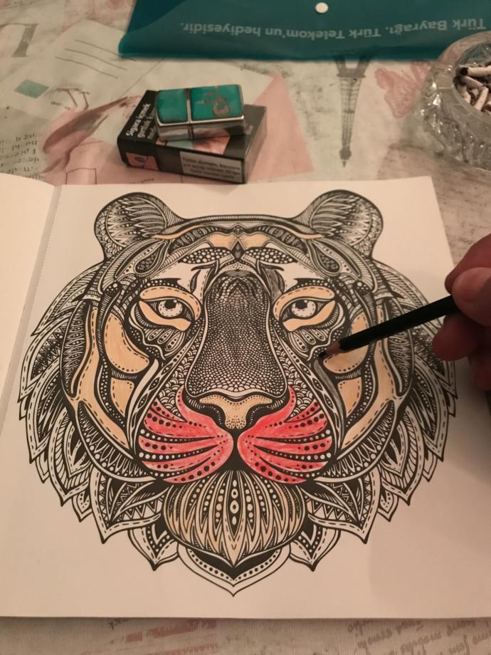 Mandala nasıl boyanır? Hangi marka ve tür kalemle güzel olur?