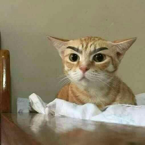 Bana anonim profil resmi önerir misiniz?