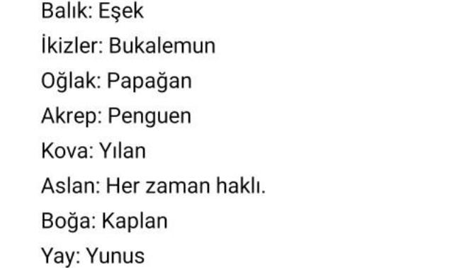 Eğer Burçlar Bir Hayvan Olsaydı. Senin Burcun Nedir?