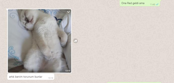 Ailem torun istiyor diye bana evlilik baskısı uyguluyor. Nasıl kurtulabilirim?