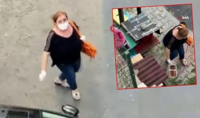 Mamaları Çöpe Attı! Sokak hayvanlarına bırakılan mama dolu kapları çöpe atan kadın hakkında ne düşünüyorsunuz?