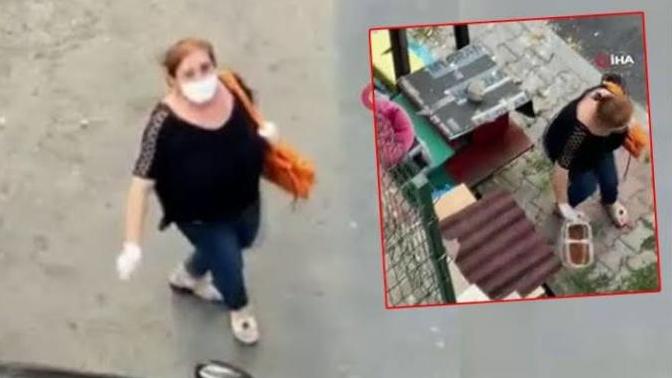 Mamaları Çöpe Attı! Sokak hayvanlarına bırakılan mama dolu kapları çöpe atan kadın hakkında ne düşünüyorsunuz?