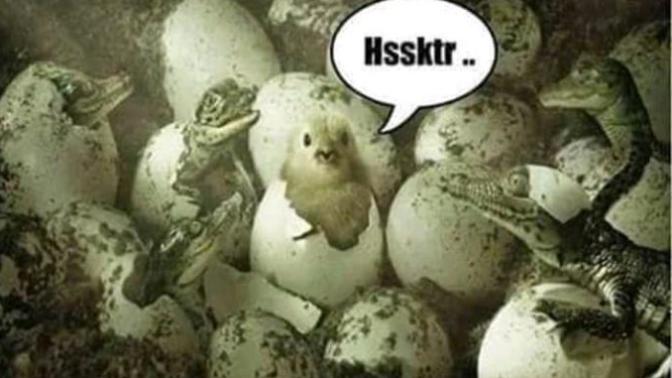 Şanslı bir insan mısınız?