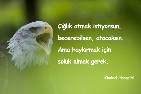 Ben yüksek bir yere çıkıp avazım çıktığınca bağırmak ve içimdekileri kusmak istiyorum.