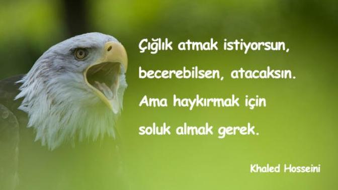 Haykırmak istediğin ne var?