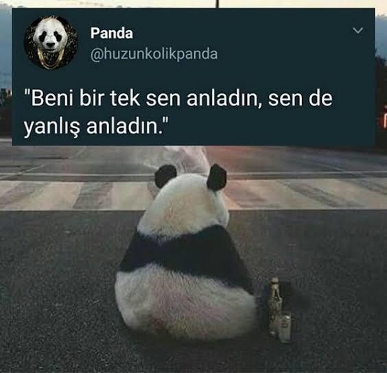 Yanlış anlaşılmaktan korkar mısın?