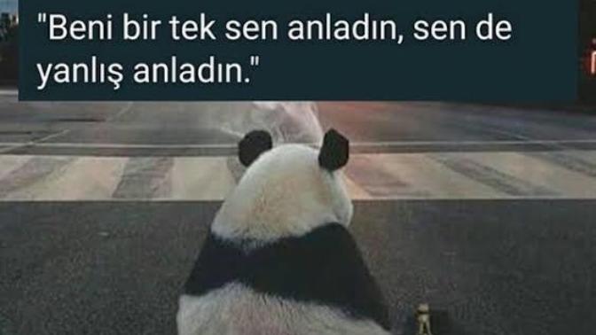 Yanlış anlaşılmaktan korkar mısın?