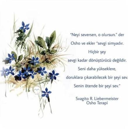 Neyi seversen o olursun. Sevgi simyadir. Sevginin dönüştürücü etkisi var mıdır?