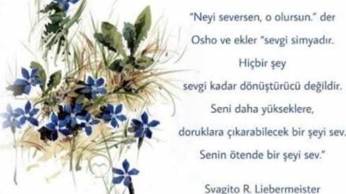 "Neyi seversen o olursun. Sevgi simyadir." Sevginin dönüştürücü etkisi var mıdır?