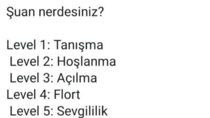 Şu an aşkın neresindesiniz?