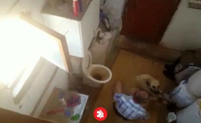 Son dakika: Antalyada iğrenç olay! Ayaklarını hortumla bağladığı köpeğe tecavüz etti?