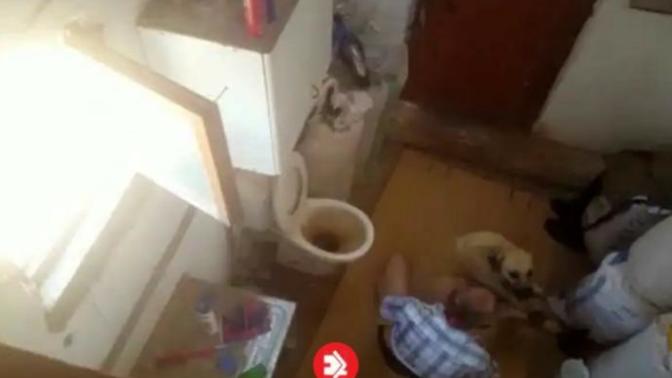 Son dakika: Antalya'da iğrenç olay! Ayaklarını hortumla bağladığı köpeğe tecavüz etti?
