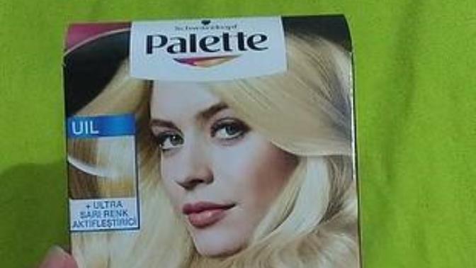 Palette Deluxe Renk Açıcı kullanan var mı?