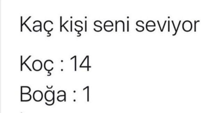 Kaç kişi seni seviyor?