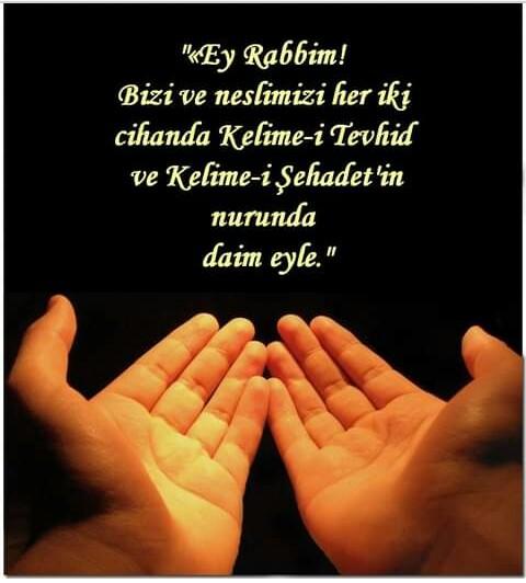 👼Amin 👼
