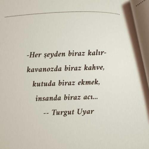 35 yıl önce bugün aramızdan ayrılan Turgut Uyar'ın sende yer edinen şiiri hangisi?