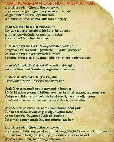Nasıl bir kişiliğe sahipsin?
