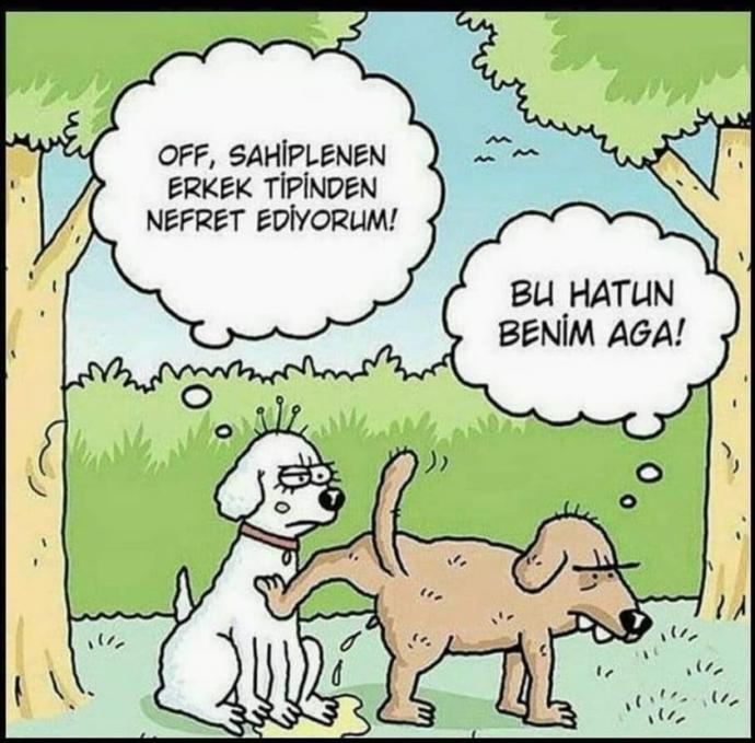Kıskanınca ben..