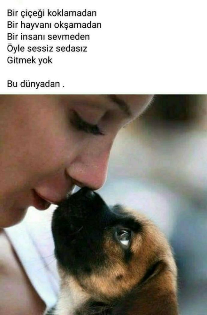 Hayatta en çok keyif aldığınız şey nedir?