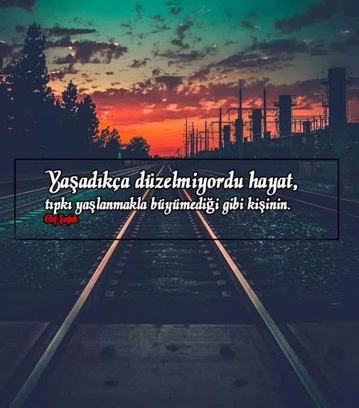 Hayatın Güzelliklerini görmek için neden bu kadar körüz?