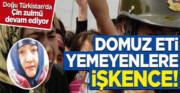 Uygur Türklerine yapılan işkencelere Türkiyenin bir ses çıkartmaması hakkında ne düşünüyorsunuz?