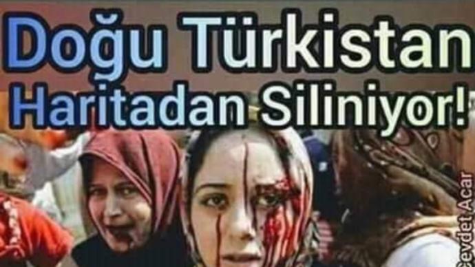 Uygur Türklerine yapılan işkencelere Türkiyenin bir ses çıkartmaması hakkında ne düşünüyorsunuz?