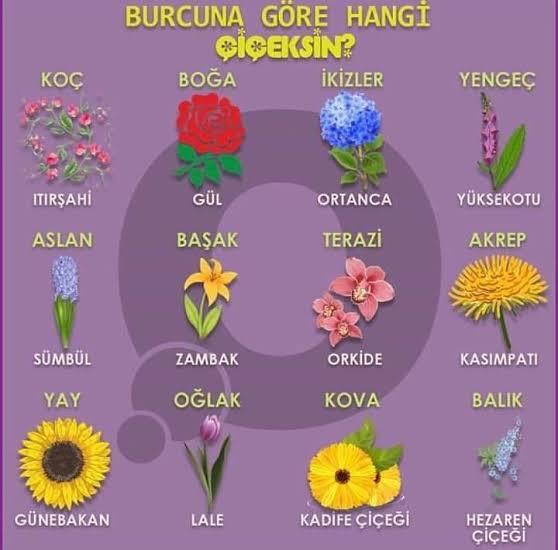 Burcuna göre hangi çiçeksin?