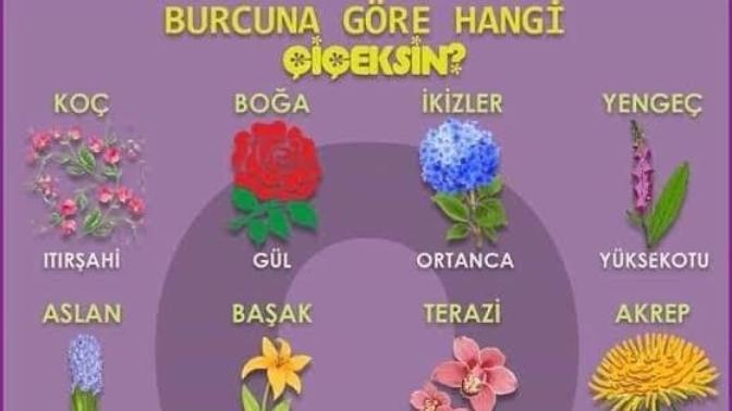 Burcuna göre hangi çiçeksin?