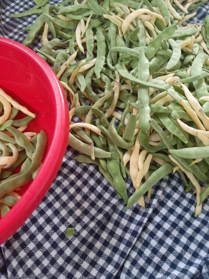Yemek yapmayı biliyor musunuz, kendinize güveniyor musunuz?