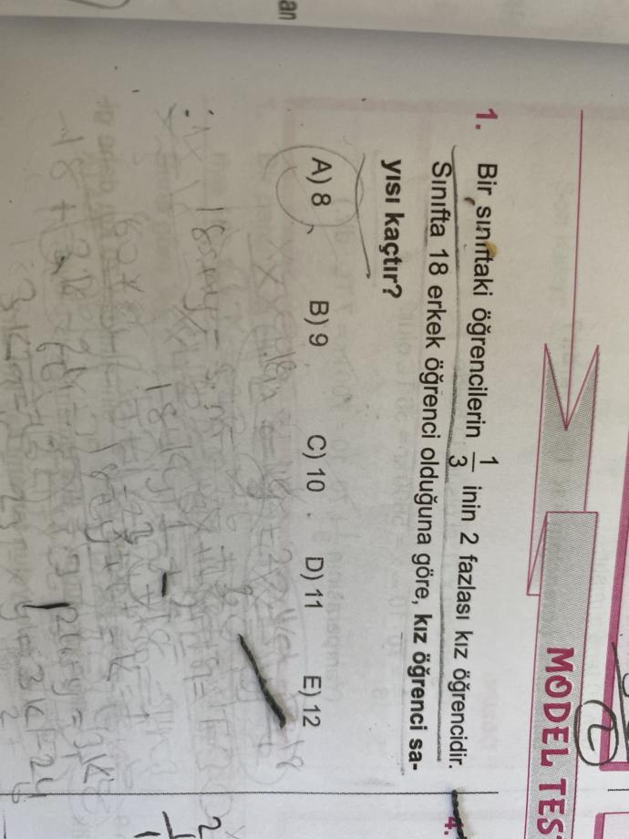 Matematik sorusu kesir problemi?