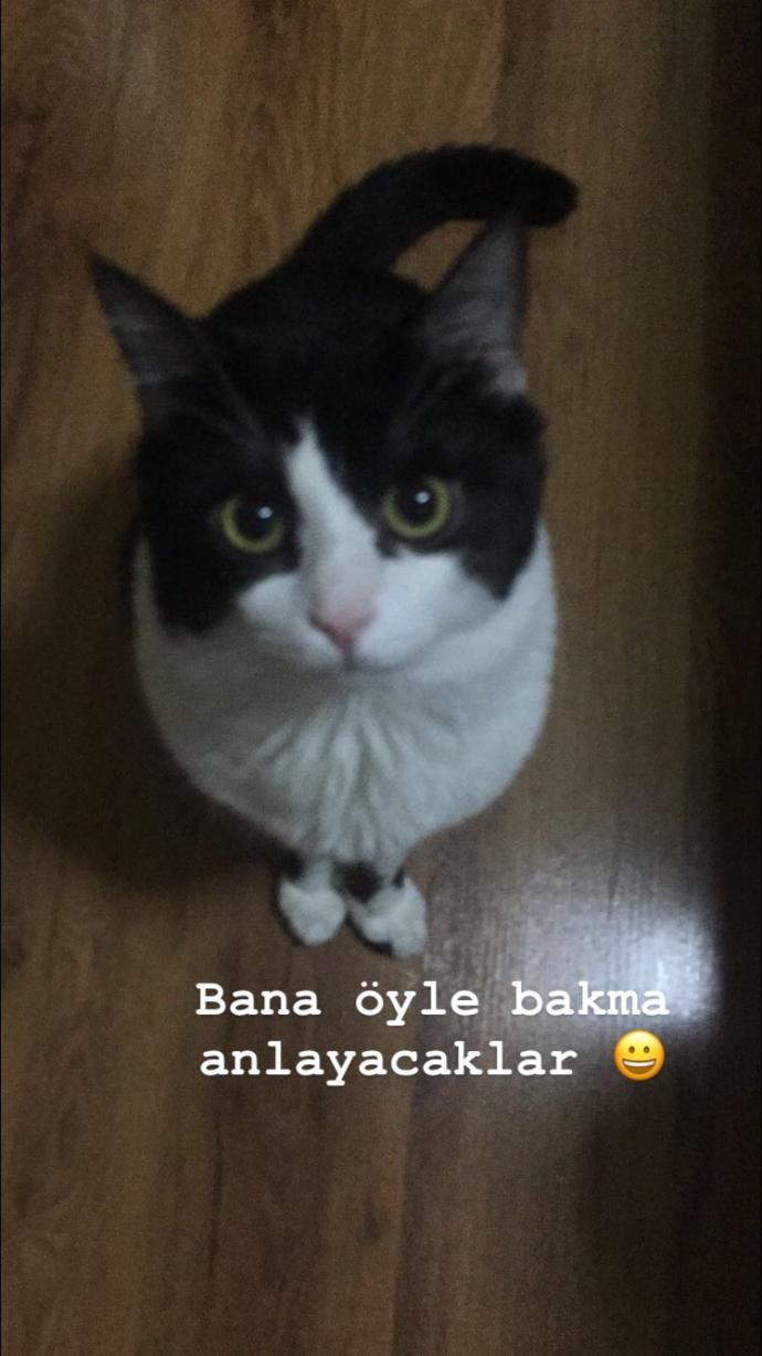 “Kahveyi sütsüz seni tereddütsüz seviyorum” dediğiniz biri var mı?