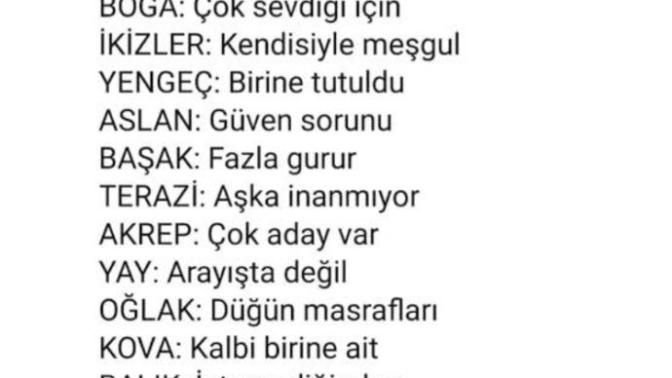 Neden bekarsınız?
